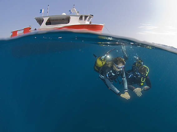 learn to scuba dive